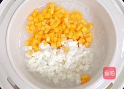 山药南瓜瘦肉粥 (宝宝辅食)的做法图解6