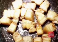 四川—快手红烧肉的做法图解5