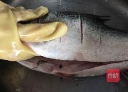 红烧鲢鱼的做法图解1
