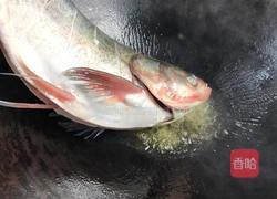 红烧鲢鱼的做法图解5
