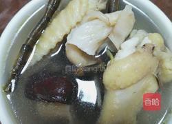花胶石斛炖鸡的做法图解5