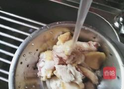 花胶石斛炖鸡的做法图解1