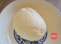 酸菜豬肉餡餃子的做法圖解1