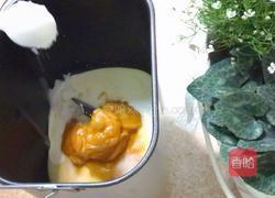 丰收南瓜包的做法图解8