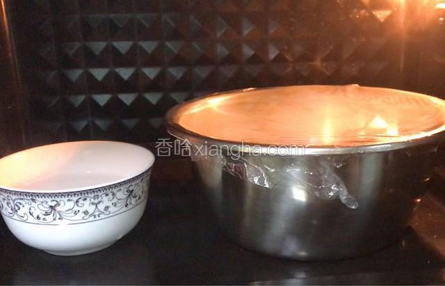 盖上保鲜膜放温暖处发酵(冬天放烤箱或发酵箱27度左右发酵，也可以坐一盆温水发酵）。