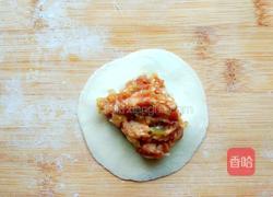 河北羊肉大葱饺子的做法图解4