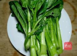 酱灼菜心的做法图解1