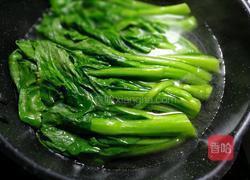 酱灼菜心的做法图解4
