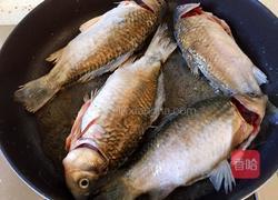 酱焖鲫鱼豆腐的做法图解4