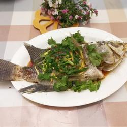 粤式－清蒸水库鲫鱼的做法[图]