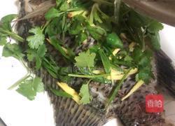 粤式－清蒸水库鲫鱼的做法图解7