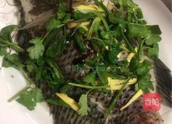 粤式－清蒸水库鲫鱼的做法图解8