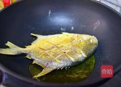 红烧鲳鱼的做法图解3