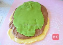 彩色饼干(新年甜品)的做法图解6