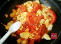 番茄炒鸡蛋的做法图解7