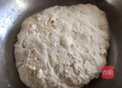 ＃沈阳＃家庭版叫花鸡的做法图解16