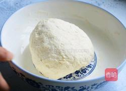 彩椒猪肉饺子的做法图解1