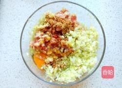 猪肉白菜包子的做法图解1