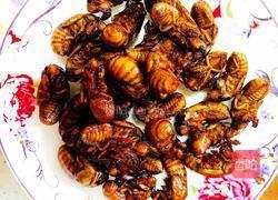 孜然知了猴的做法图解5