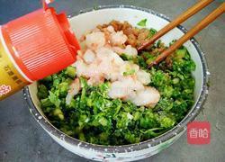 茼蒿虾仁水饺的做法图解6