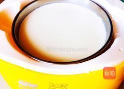 自制樱桃老酸奶的做法图解6