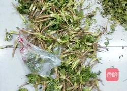 炸香菜根的做法图解1