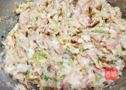 白菜水餃的做法圖解11