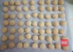 椰蓉球的做法图解6