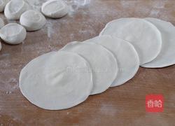 烫面牛肉萝卜蒸饺的做法图解5