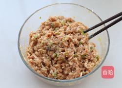 鲜肉包子（一次发酵法）的做法图解5