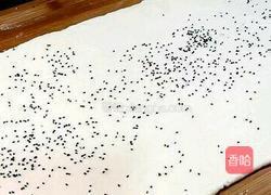 黑芝麻花卷的做法图解3