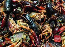 油焖小龙虾的做法图解4