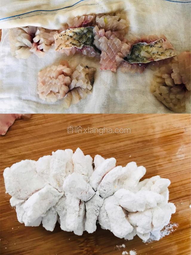 腌制好的鱼块用干净的纱布吸水，均匀拍淀粉抖去多余淀粉备用