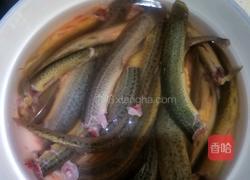 泥鳅炖豆腐的做法图解1