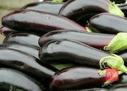 凉调茄子的做法图解1