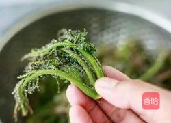 香椿小咸菜的做法图解2