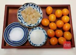 酸甜小金桔的做法图解1