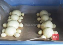 小熊面包的做法图解8