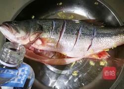 红烧淡水鲈鱼的做法图解1
