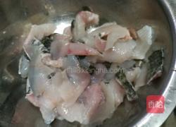 椒麻鱼片的做法图解6
