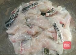 椒麻鱼片的做法图解8