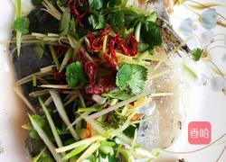 清蒸海参斑的做法图解7