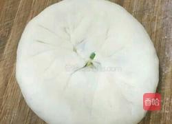 懒人菜盒的做法图解5