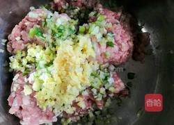 彩色饺子皮水饺的做法图解1