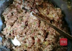 彩色饺子皮水饺的做法图解3