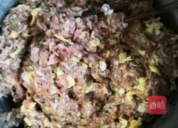 彩色饺子皮水饺的做法图解5