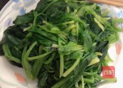 菠菜拌粉丝的做法图解5