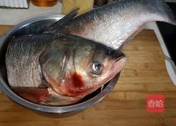 炖胖头鱼的做法图解1