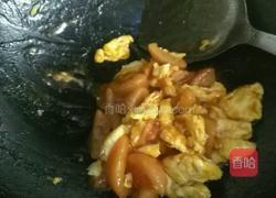 番茄炒鸡蛋的做法图解6