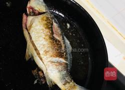 鲫鱼豆腐汤的做法图解3